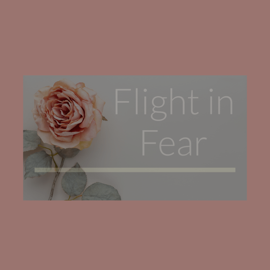 Flight in Fear